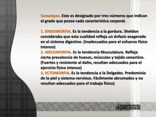 Somatipos. Este es designado por tres números que indican el grado que posee cada característica corporal.1. ENDOMORFIA. Es la tendencia a la gordura. Sheldon consideraba que esta cualidad refleja un énfasis exagerado en el sistema digestivo. (Inadecuados para el esfuerzo físico intenso)2. MESOMORFIA. Es la tendencia Musculatura. Refleja cierta prevalencia de huesos, músculos y tejido conectivo. (Fuertes y resistente al daño, resultan adecuados para el ejercicio físico intenso)3. ECTOMORFIA. Es la tendencia a la Delgadez. Predominio de la piel y sistema nervioso. Fácilmente abrumados y no resultan adecuados para el trabajo físico)