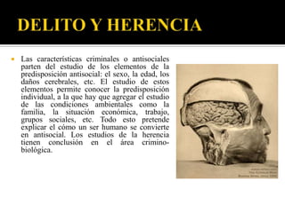    Las características criminales o antisociales
    parten del estudio de los elementos de la
    predisposición antisocial: el sexo, la edad, los
    daños cerebrales, etc. El estudio de estos
    elementos permite conocer la predisposición
    individual, a la que hay que agregar el estudio
    de las condiciones ambientales como la
    familia, la situación económica, trabajo,
    grupos sociales, etc. Todo esto pretende
    explicar el cómo un ser humano se convierte
    en antisocial. Los estudios de la herencia
    tienen conclusión en el área crimino-
    biológica.
 