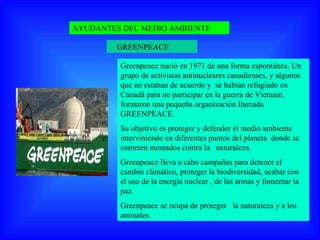 AYUDANTES DEL MEDIO AMBIENTE GREENPEACE Greenpeace nació en 1971 de una forma espontánea. Un grupo de activistas antinucleares canadienses, y algunos que no estaban de acuerdo y  se habían refugiado en Canadá para no participar en la guerra de Vietnam, formaron una pequeña organización llamada GREENPEACE. Su objetivo es proteger y defender el medio ambiente interviniendo en diferentes puntos del planeta  donde se cometen atentados contra la  naturaleza. Greenpeace lleva a cabo campañas para detener el cambio climático, proteger la biodiversidad, acabar con el uso de la energía nuclear , de las armas y fomentar la paz. Greenpeace se ocupa de proteger  la naturaleza y a los animales. 