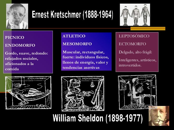 Abordaje de las teorias de la personalidad y temperamento