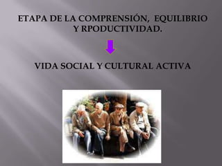 ETAPA DE LA COMPRENSIÓN, EQUILIBRIO
           Y RPODUCTIVIDAD.



   VIDA SOCIAL Y CULTURAL ACTIVA
 