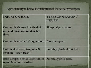 INJURY ON HAIR TYPES OF WEAPON /
INJURY
Cut end is clean – it is fresh &
cut end turns round after few
days
Sharp edge weapon
Cut end is crushed / ragged out Blunt weapon
Bulb is distorted, irregular &
swollen if seen fresh.
Forcibly plucked out hair
Bulb atrophic small & shrunken
up with smooth surface
Naturally shed hair.
 