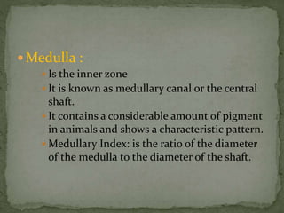 Medulla :
 Is the inner zone
 It is known as medullary canal or the central
shaft.
 It contains a considerable amount of pigment
in animals and shows a characteristic pattern.
 Medullary Index: is the ratio of the diameter
of the medulla to the diameter of the shaft.
 