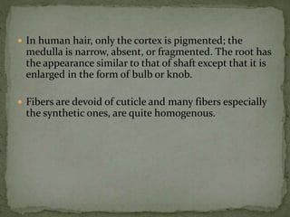  In human hair, only the cortex is pigmented; the
medulla is narrow, absent, or fragmented. The root has
the appearance similar to that of shaft except that it is
enlarged in the form of bulb or knob.
 Fibers are devoid of cuticle and many fibers especially
the synthetic ones, are quite homogenous.
 
