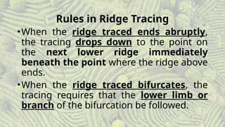 Personal Identification (Fingerprint Classification).pptx