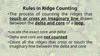 Personal Identification (Fingerprint Classification).pptx