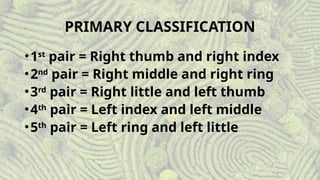 Personal Identification (Fingerprint Classification).pptx