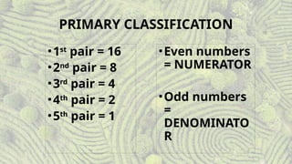 Personal Identification (Fingerprint Classification).pptx