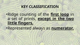 Personal Identification (Fingerprint Classification).pptx