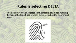 Personal Identification (Fingerprint Classification).pptx