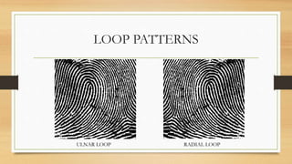 PERSONAL IDENTIFICATION TECHNIQUES.pptx