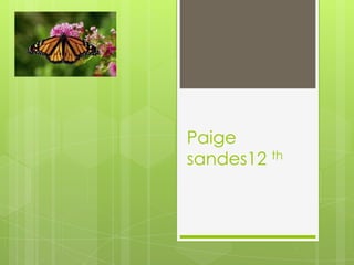 Paige
sandes12 th
 