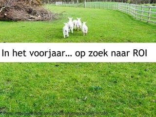 In het voorjaar… op zoek naar ROI
Photo: http://www.flickr.com/photos/infomatique/5597147355Photo: http://www.flickr.com/photos/infomatique/5597147355
 