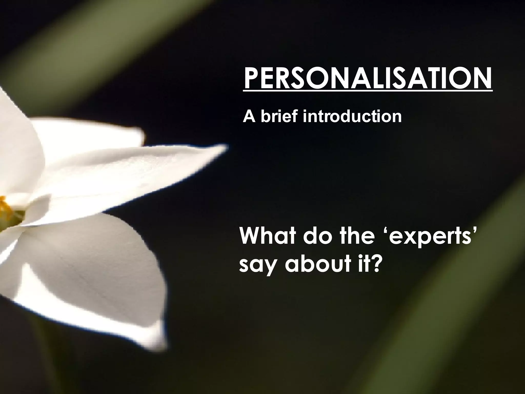 PERSONALISATION A brief introduction What do the ‘experts’ say about it?
