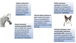 Advancements in Personalized Medicine: Genomic and Targeted Therapies ...