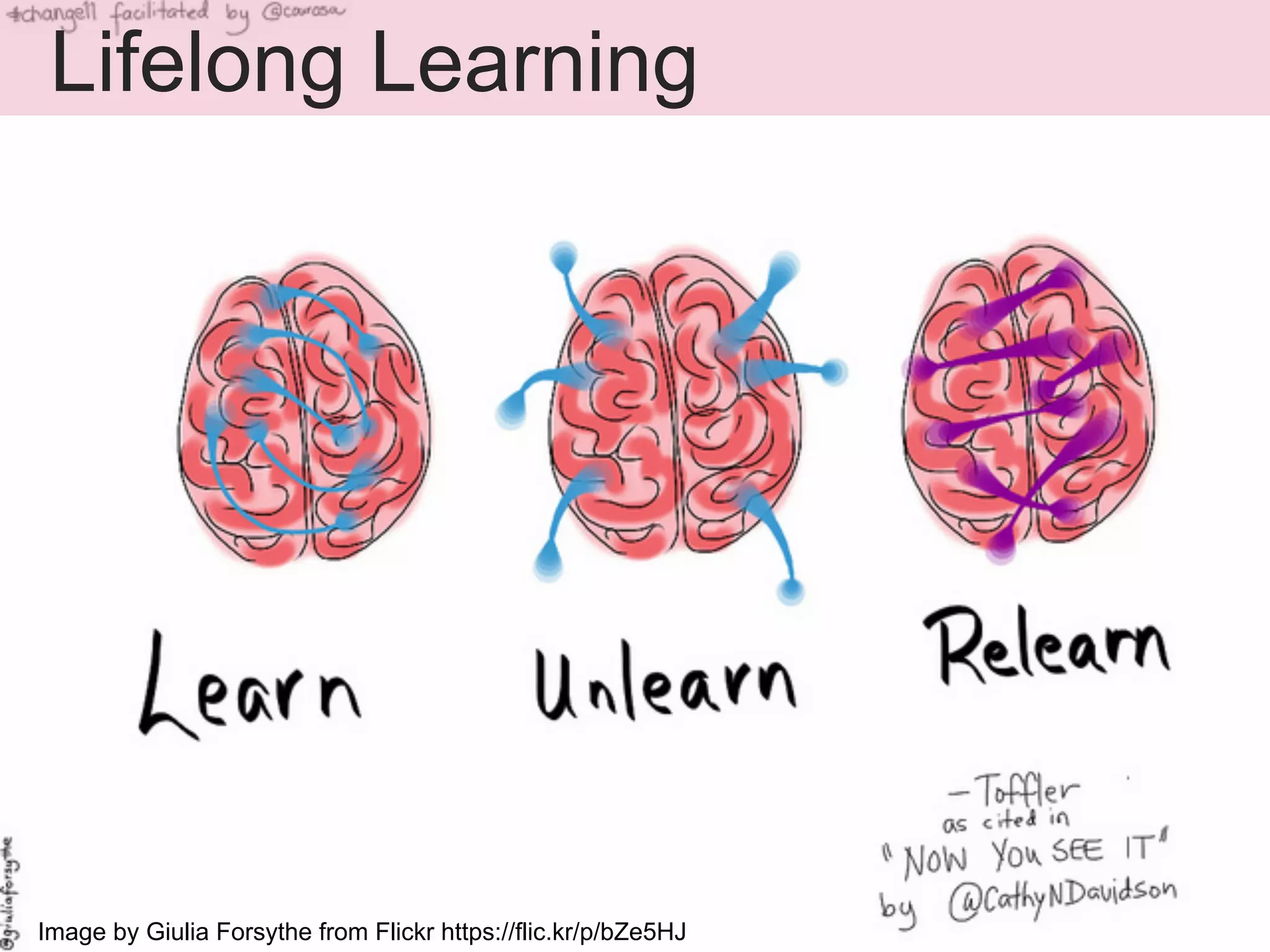 Lifelong Learning 
Image by Giulia Forsythe from Flickr https://flic.kr/p/bZe5HJ 
 