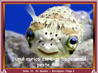 … unul curios care-si baga nasul peste tot , 