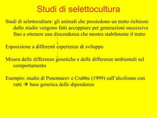 Studi di selettocultura: gli animali che possiedono un tratto richiesto
dallo studio vengono fatti accoppiare per generazioni successive
fino a ottenere una discendenza che mostra stabilmente il tratto
Esposizione a differenti esperienze di sviluppo
Misura delle differenze genetiche e delle differenze ambientali sul
comportamento
Esempio: studio di Ponomarev e Crabbe (1999) sull’alcolismo con
ratti  base genetica delle dipendenze
Studi di selettocultura
 