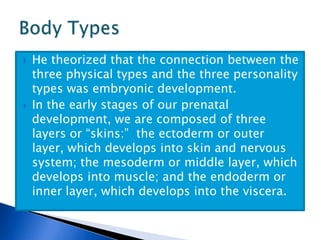 He theorized that the connection between the three physical types and the three personality types was embryonic development.  In the early stages of our prenatal development, we are composed of three layers or “skins:”  the ectoderm or outer layer, which develops into skin and nervous system; the mesoderm or middle layer, which develops into muscle; and the endoderm or inner layer, which develops into the viscera.Body Types