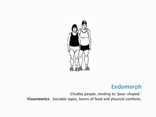 EndomorphChubby people, tending to “pear-shaped.”Viscerotonics:  Sociable types, lovers of food and physical comforts.