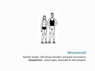 MesomorphStockier people, with broad shoulders and good musculature.Somatotonics:  Active types, physically fit and energetic.