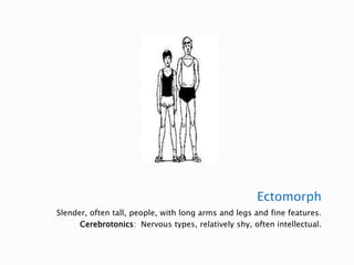 EctomorphSlender, often tall, people, with long arms and legs and fine features.Cerebrotonics:  Nervous types, relatively shy, often intellectual.