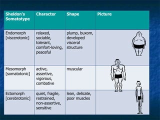 Sheldon's Somatotype Character Shape Picture Endomorph [viscerotonic] relaxed, sociable, tolerant, comfort-loving, peaceful plump, buxom, developed visceral structure Mesomorph [somatotonic] active, assertive, vigorous, combative muscular Ectomorph [cerebrotonic] quiet, fragile, restrained, non-assertive, sensitive lean, delicate, poor muscles 
