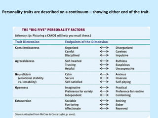 Personality traits are described on a continuum – showing either end of the trait.
 