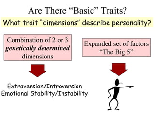 Are There “Basic” Traits?
What trait “dimensions” describe personality?
Combination of 2 or 3
genetically determined
dimensions
Expanded set of factors
“The Big 5”
Extraversion/Introversion
Emotional Stability/Instability
 