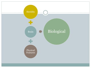 Heridity
Brain
Physical
Features
Biological
 