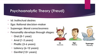 Psychoanalytic Theory (Freud)
• Id: Instinctual desires
• Ego: Rational decision-maker
• Superego: Moral consciousness
• Personality develops through stages:
• Oral (0-1 year)
• Anal (1-3 years)
• Phallic (3-6 years)
• Latency (6-12 years)
• Genital (12+ years)
 