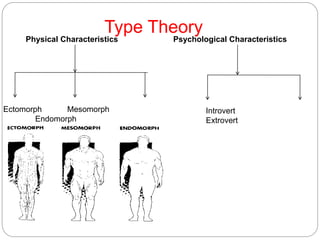 Type Theory
Physical Characteristics Psychological Characteristics
Ectomorph Mesomorph
Endomorph
Introvert
Extrovert
 