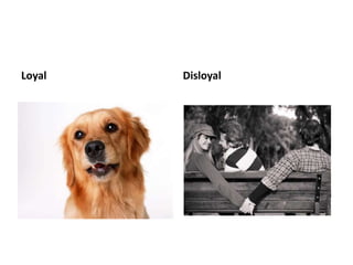 Loyal Disloyal 
 