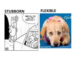 STUBBORN FLEXIBLE
 