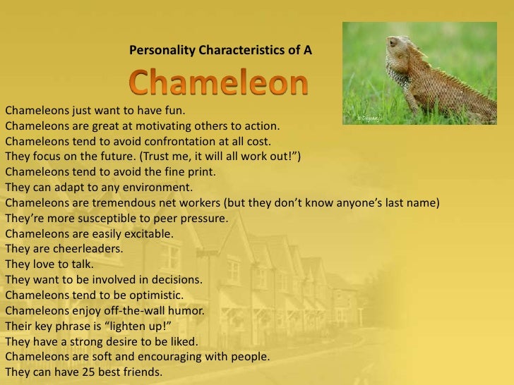 What are the personality traits of a lion?