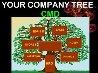 YOUR COMPANY TREE
       CMD
                         SALES
        EDP & IT



                                 ADMIN
    STORES



    MARKETING                FINANCE

                   HRD
 