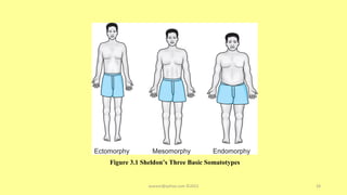 Figure 3.1 Sheldon’s Three Basic Somatotypes
asareor@yahoo.com ©2022 28
 