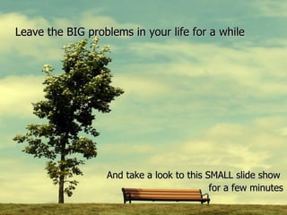 Leave the BIG problems in your life for a while And take a look to this SMALL slide show  for a few minutes 