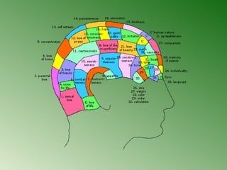 Dev Personality Personality devlopment | PPT
