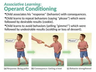 Comprehensive Overview of Behavioral Theories of Personality and ...