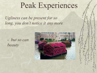Ugliness can be present for so
long, you don’t notice it any more
- but so can
beauty
Peak Experiences
 
