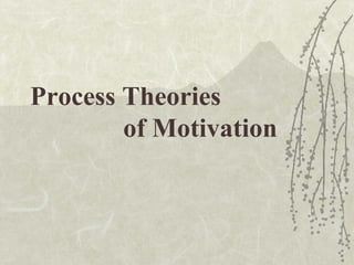 Process Theories
of Motivation
 