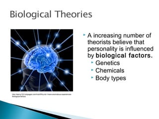  A increasing number of
theorists believe that
personality is influenced
by biological factors.
 Genetics
 Chemicals
 Body types
http://earny123.hubpages.com/hub/Why-do-I-have-anomalous-experiences-
Biological-factors
 