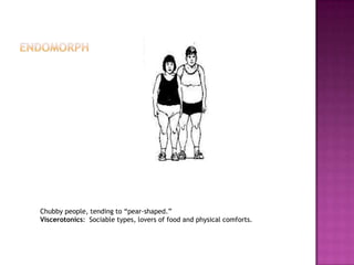 Chubby people, tending to “pear-shaped.”
Viscerotonics: Sociable types, lovers of food and physical comforts.
 