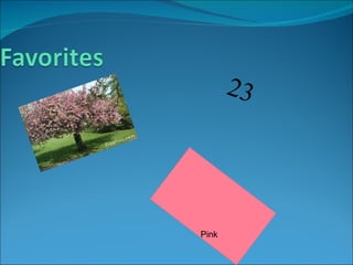 23 Pink 