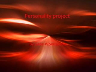 Personality project By Gabe Woerishofer 