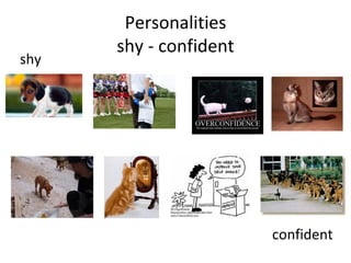 Personalities shy - confident shy confident 