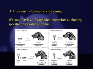 B. F. Skinner - Operant conditioning
Watson, Pavlov - Respondent behavior: elicited by
specific observable stimulus
 