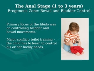 The Anal Stage (1 to 3 years)
Erogenous Zone: Bowel and Bladder Control
Primary focus of the libido was
on controlling bladder and
bowel movements.
Major conflict: toilet training -
the child has to learn to control
his or her bodily needs.
 