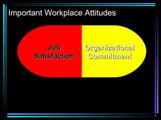 Important Workplace Attitudes
JobJob
SatisfactionSatisfaction
OrganizationalOrganizational
CommitmentCommitment
 